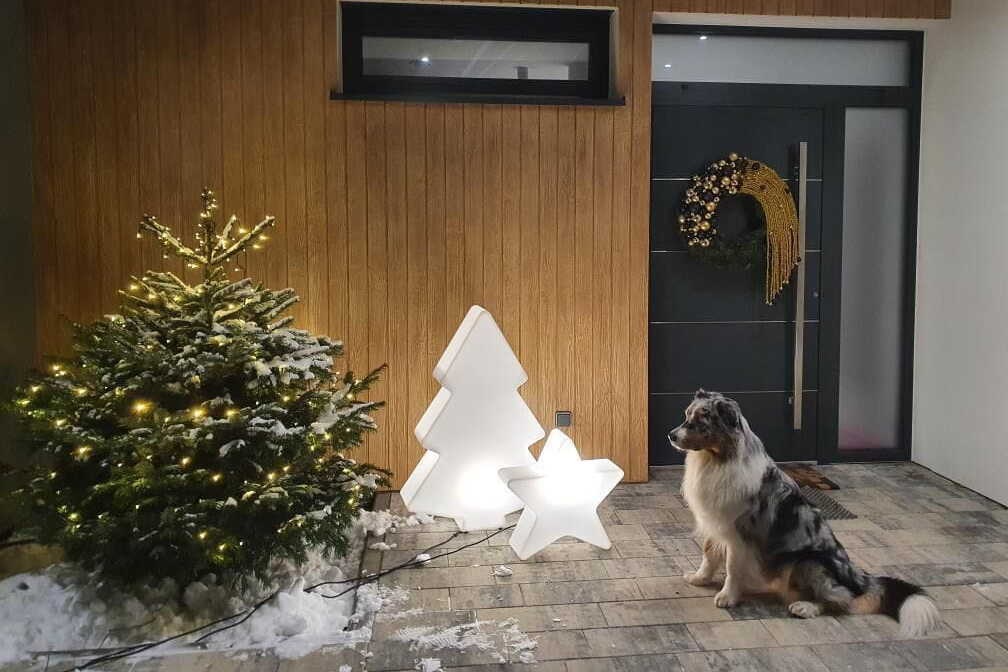 ozdoby świąteczne LED przed domem