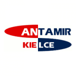 Antamir Sp.J.