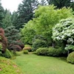 EdenGreen
